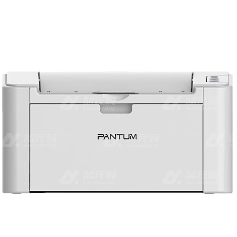 奔图（Pantum） A4黑白激光打印机 P2505N 灰色 单位：台